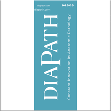 Load image into Gallery viewer, Roll up 80*200 cm - Diapath Corporate, Blue, Tiffany