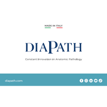 Load image into Gallery viewer, Backdrop 250*230 cm - Diapath Corporate