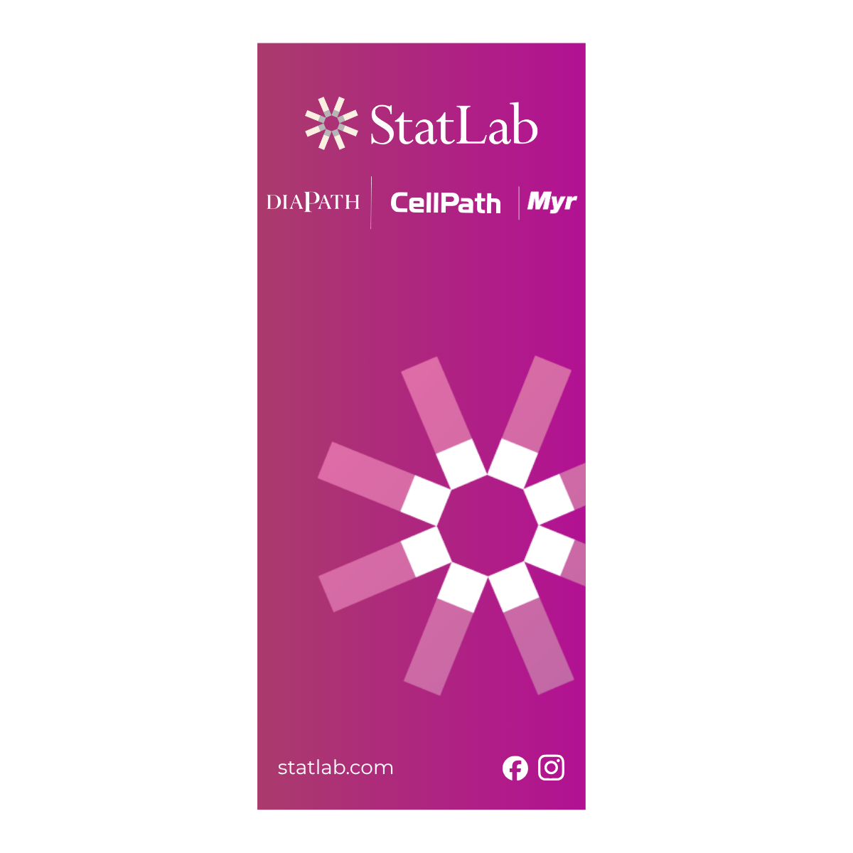 Roll up 80*200 cm - Statlab Corporate