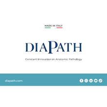 Load image into Gallery viewer, Backdrop 250*230 cm - Diapath Corporate
